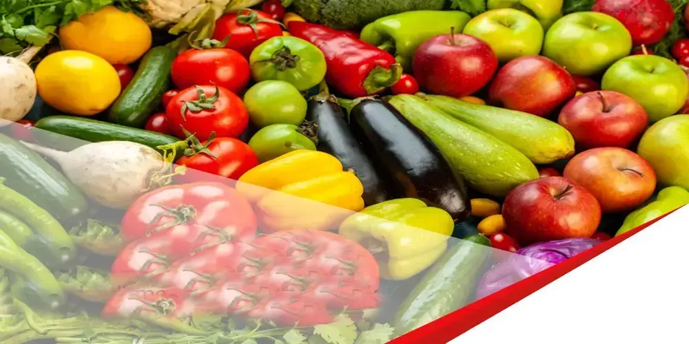 FSSC 22000 Certificate and Consulting Services Learn the necessary steps to obtain the FSSC 22000 certificate. Kayra Certification ensures you complete the process quickly and efficiently.